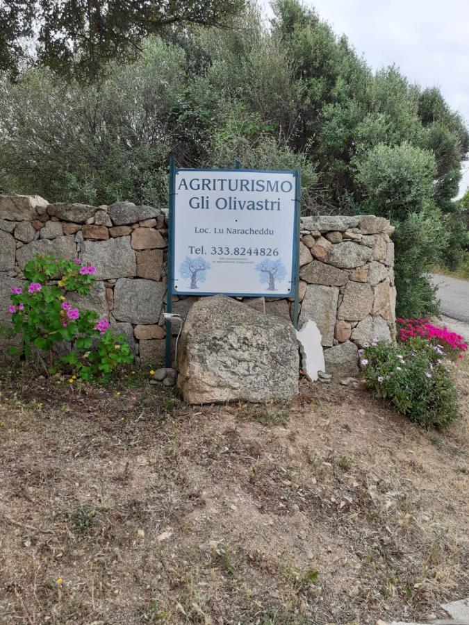 Gli Olivastri Con Piscina,Solarium, Vista Mare ,Sole -Mare E Tanta Natura ,Climatizzatore,Wifi Альенту Экстерьер фото