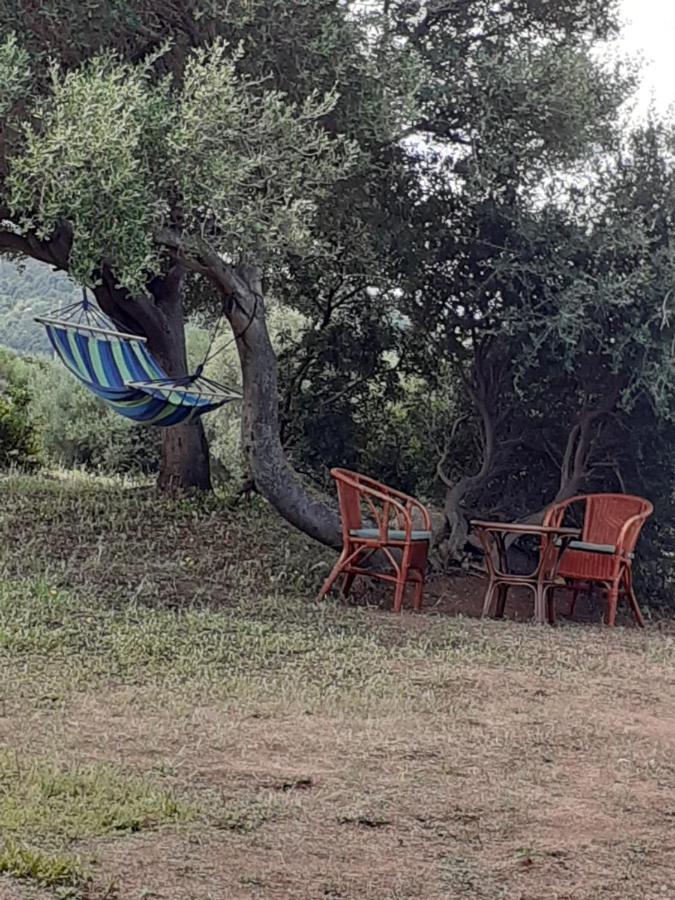 Gli Olivastri Con Piscina,Solarium, Vista Mare ,Sole -Mare E Tanta Natura ,Climatizzatore,Wifi Альенту Экстерьер фото