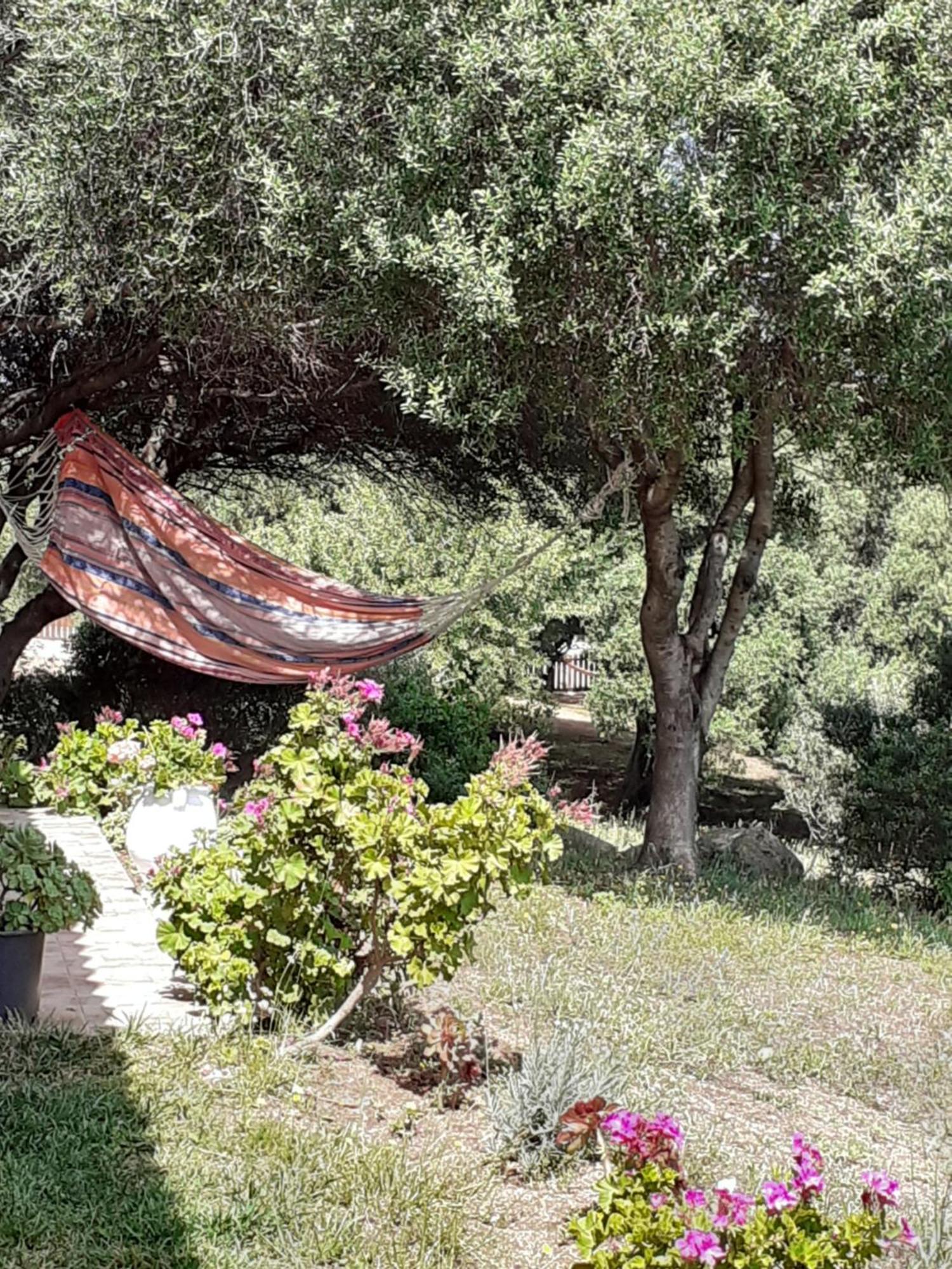 Gli Olivastri Con Piscina,Solarium, Vista Mare ,Sole -Mare E Tanta Natura ,Climatizzatore,Wifi Альенту Экстерьер фото
