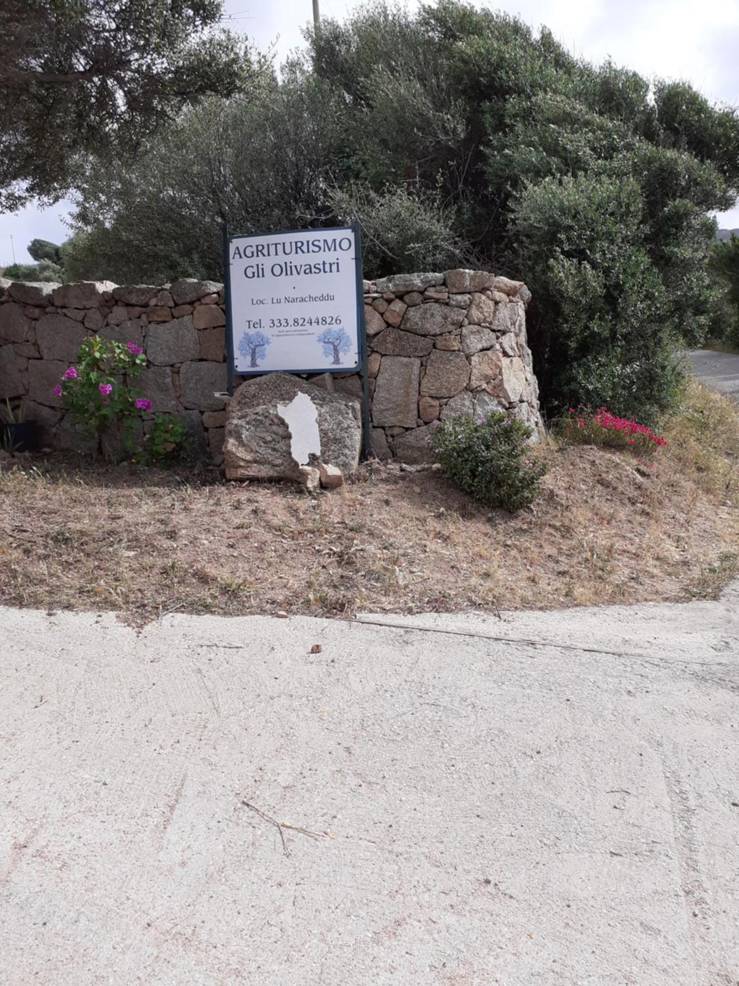 Gli Olivastri Con Piscina,Solarium, Vista Mare ,Sole -Mare E Tanta Natura ,Climatizzatore,Wifi Альенту Экстерьер фото