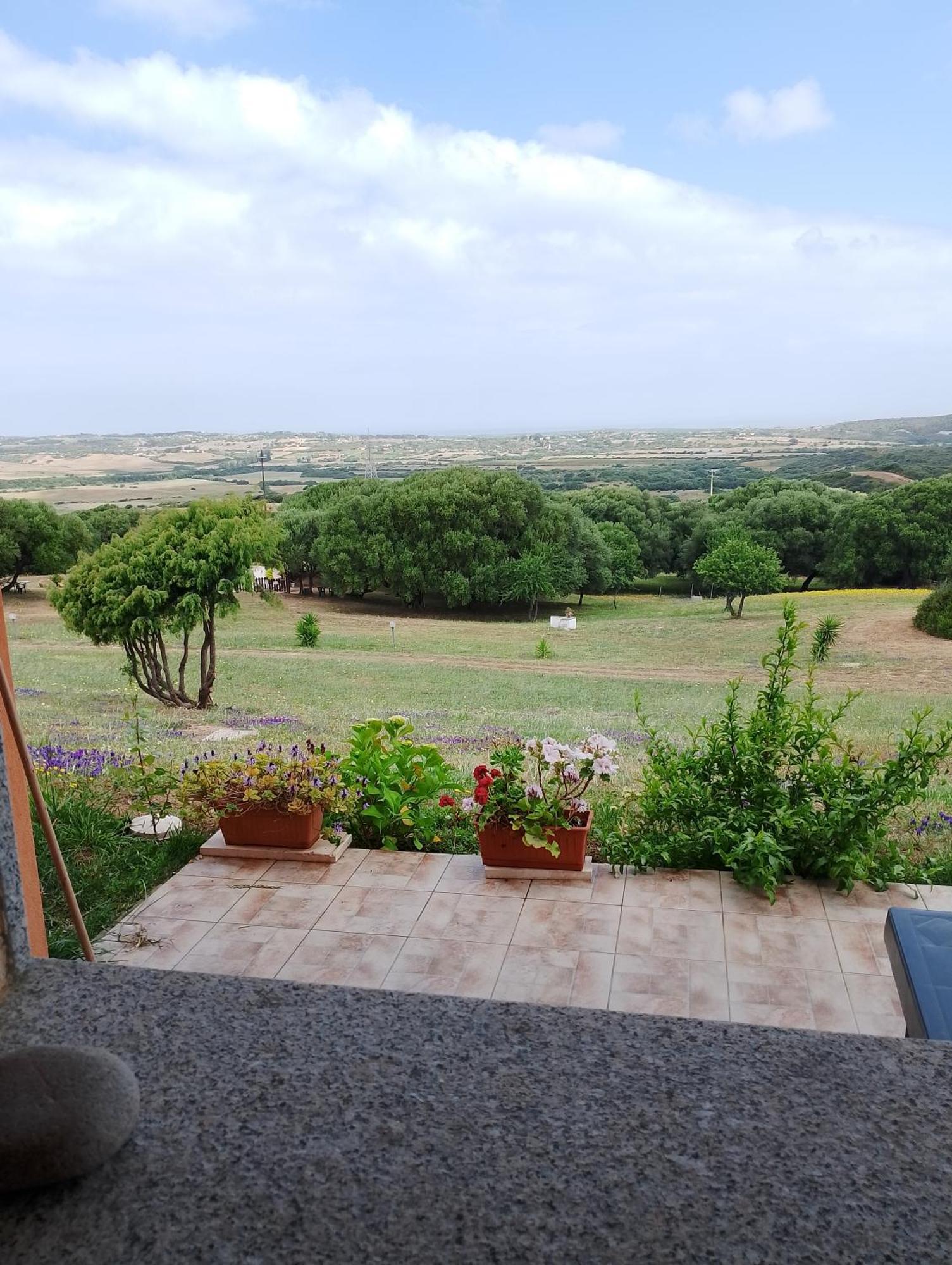 Gli Olivastri Con Piscina,Solarium, Vista Mare ,Sole -Mare E Tanta Natura ,Climatizzatore,Wifi Альенту Экстерьер фото