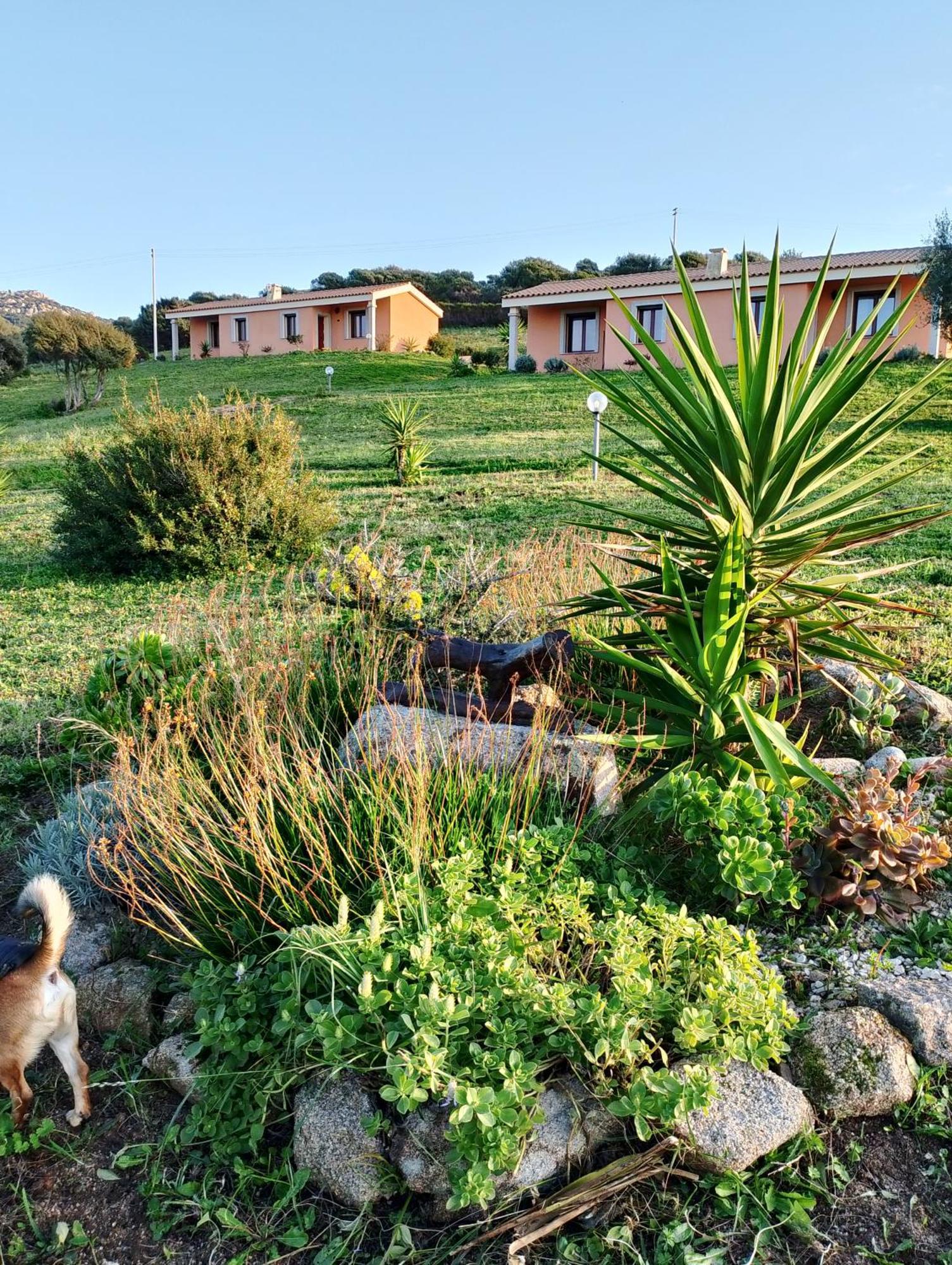 Gli Olivastri Con Piscina,Solarium, Vista Mare ,Sole -Mare E Tanta Natura ,Climatizzatore,Wifi Альенту Экстерьер фото