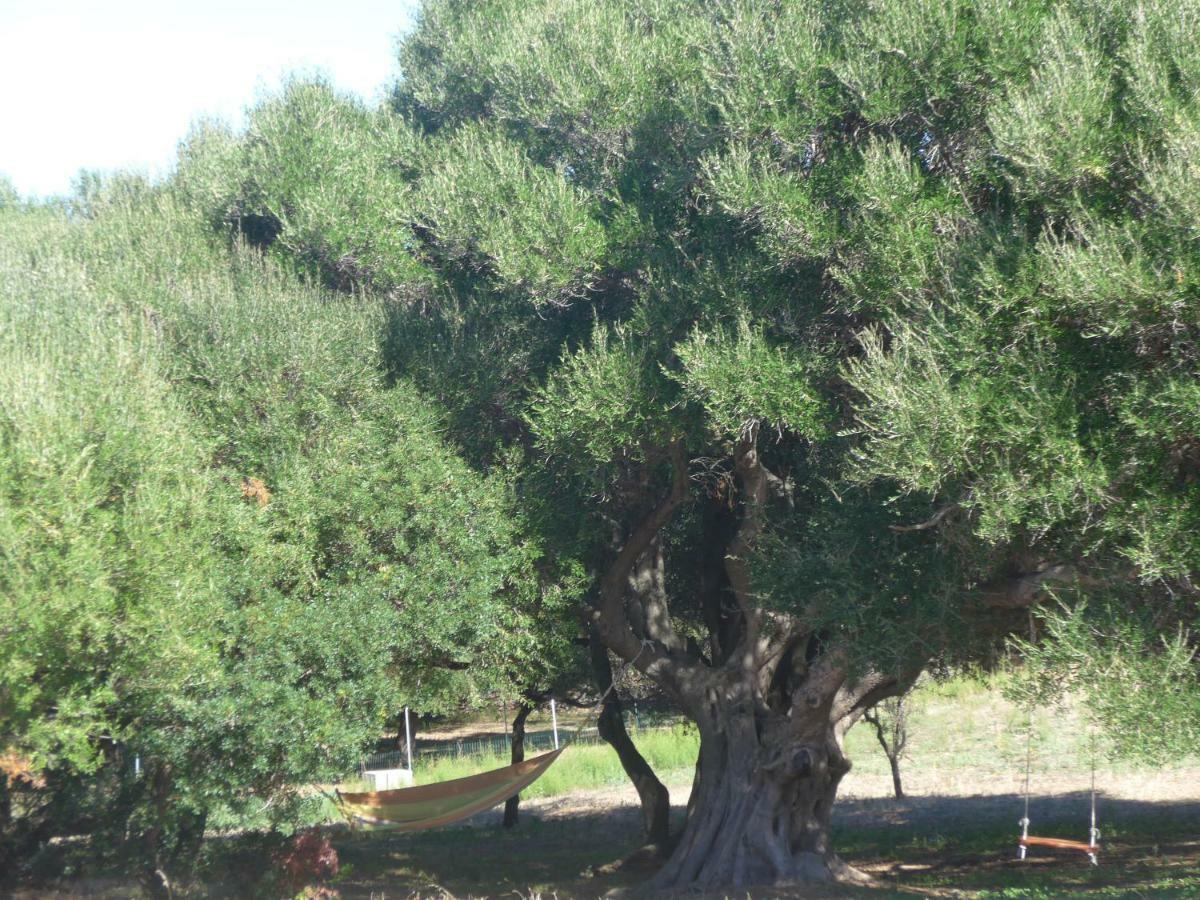 Gli Olivastri Con Piscina,Solarium, Vista Mare ,Sole -Mare E Tanta Natura ,Climatizzatore,Wifi Альенту Экстерьер фото