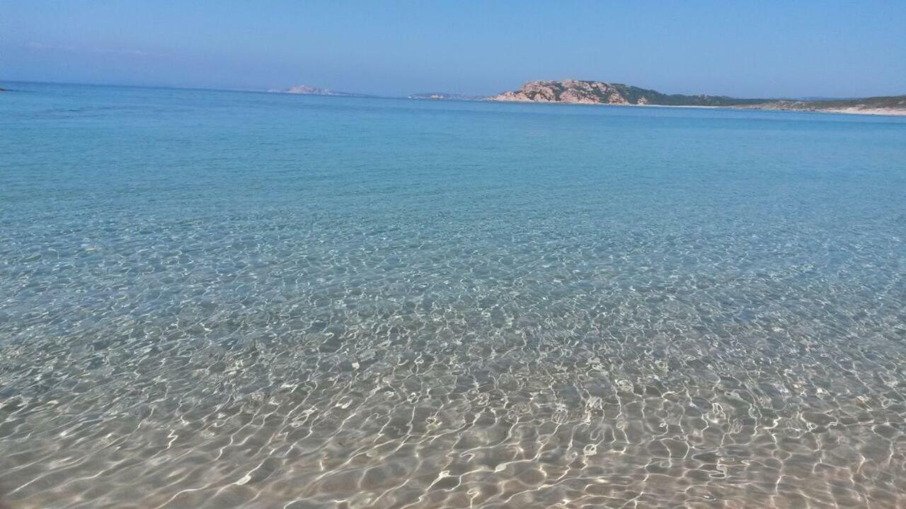 Gli Olivastri Con Piscina,Solarium, Vista Mare ,Sole -Mare E Tanta Natura ,Climatizzatore,Wifi Альенту Экстерьер фото