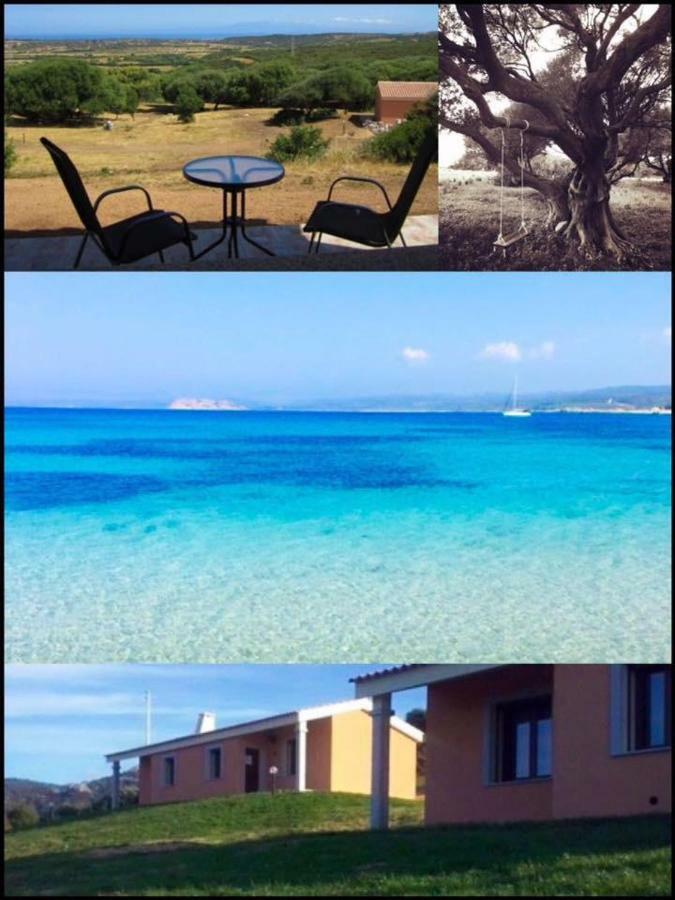 Gli Olivastri Con Piscina,Solarium, Vista Mare ,Sole -Mare E Tanta Natura ,Climatizzatore,Wifi Альенту Экстерьер фото
